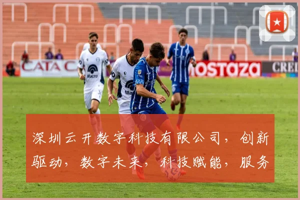 深圳云开数字科技有限公司，创新驱动，数字未来，科技赋能，服务至上，助力企业腾飞