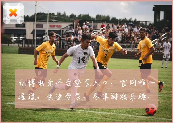 亿博电竞平台登录入口，官网唯一通道，快速登录，尽享游戏乐趣，三步即可进入