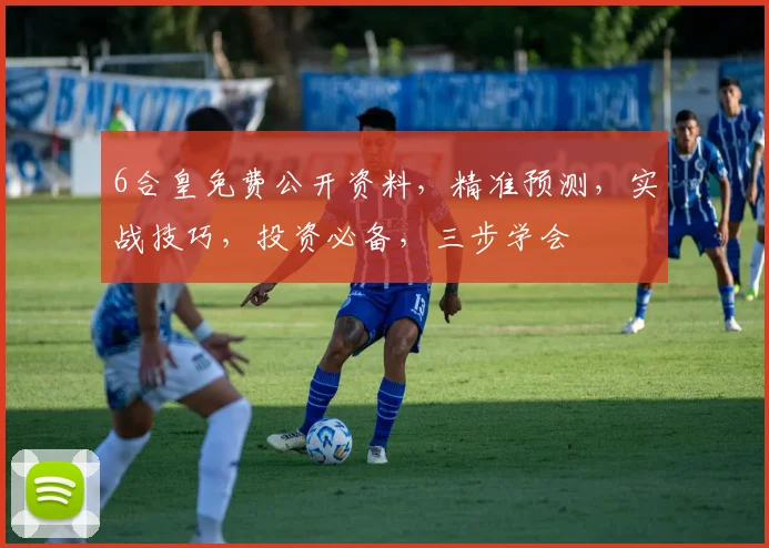 6合皇免费公开资料，精准预测，实战技巧，投资必备，三步学会