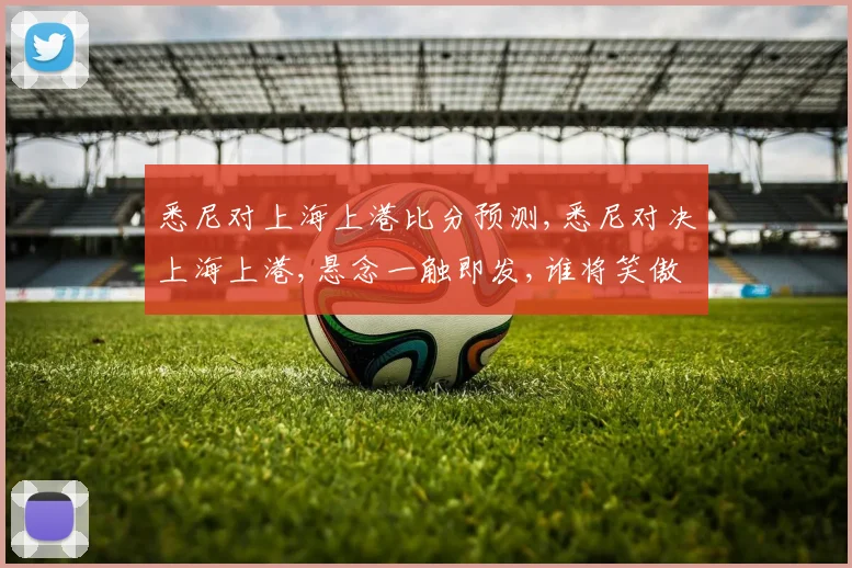 悉尼对上海上港比分预测,悉尼对决上海上港,悬念一触即发,谁将笑傲江湖