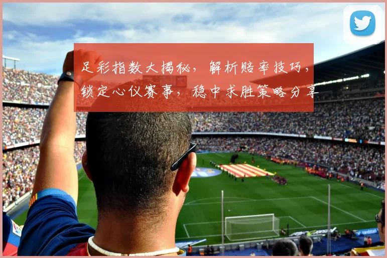 足彩指数大揭秘，解析赔率技巧，锁定心仪赛事，稳中求胜策略分享，必看攻略
