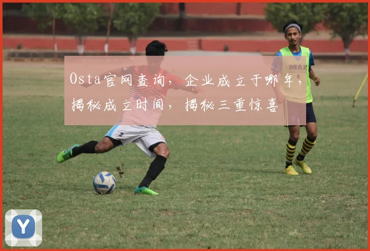 Osta官网查询，企业成立于哪年，揭秘成立时间，揭秘三重惊喜