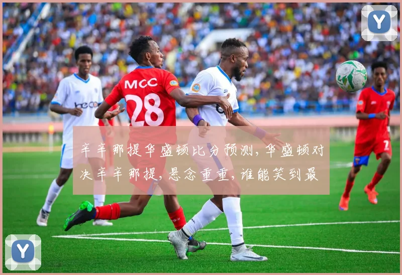 辛辛那提华盛顿比分预测,华盛顿对决辛辛那提,悬念重重,谁能笑到最后